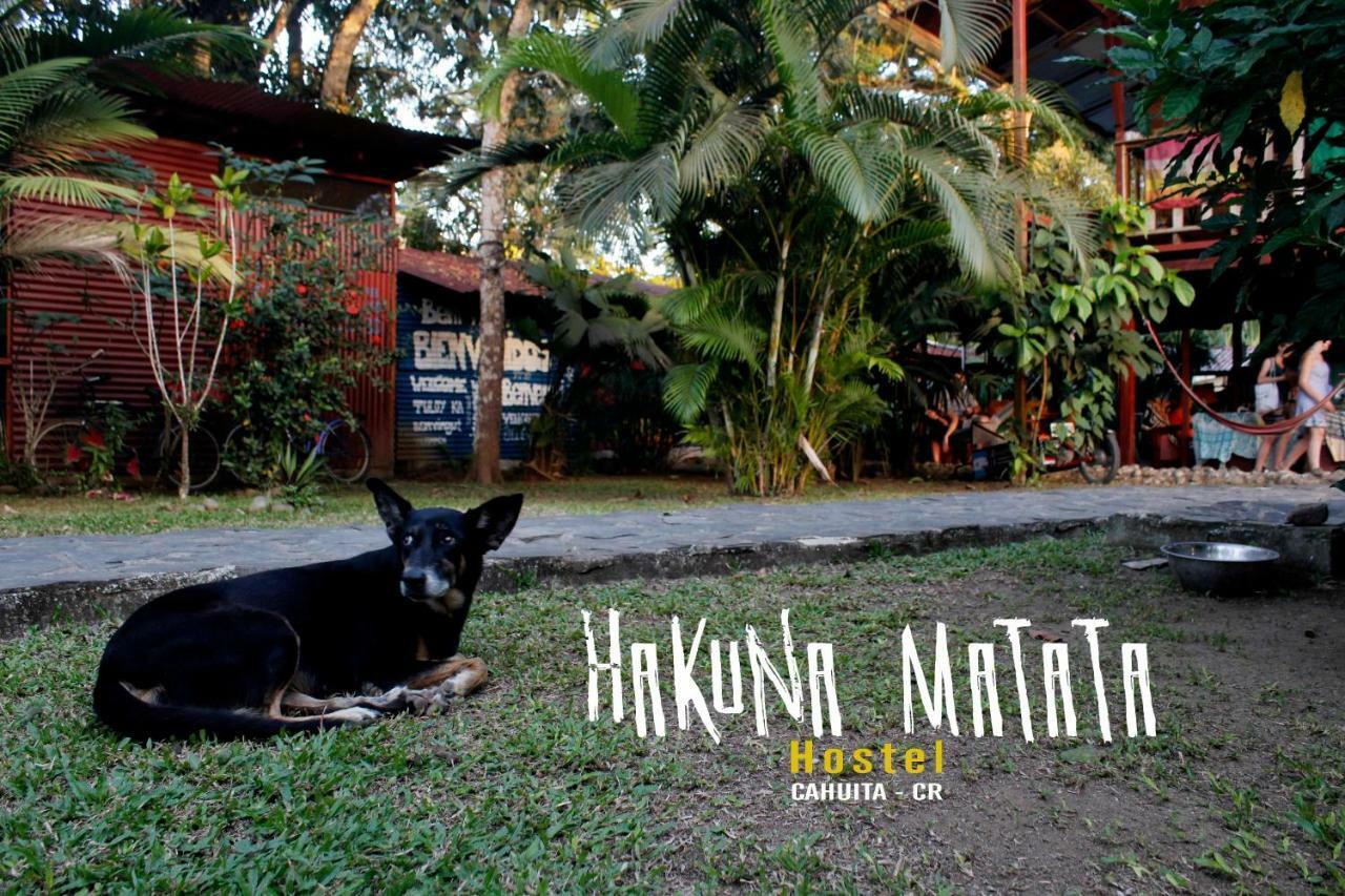 Hakuna Matata Hostel Кауита Экстерьер фото