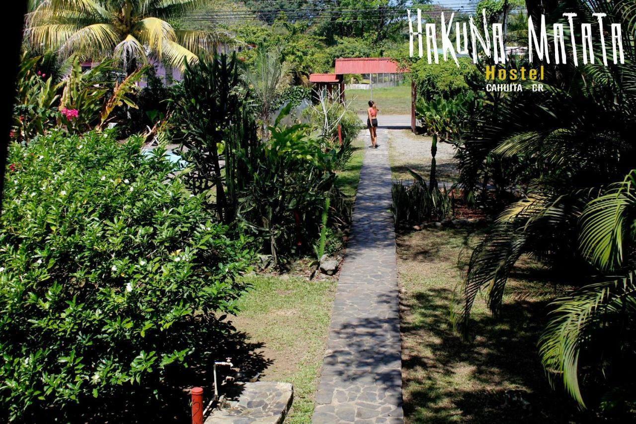 Hakuna Matata Hostel Кауита Экстерьер фото