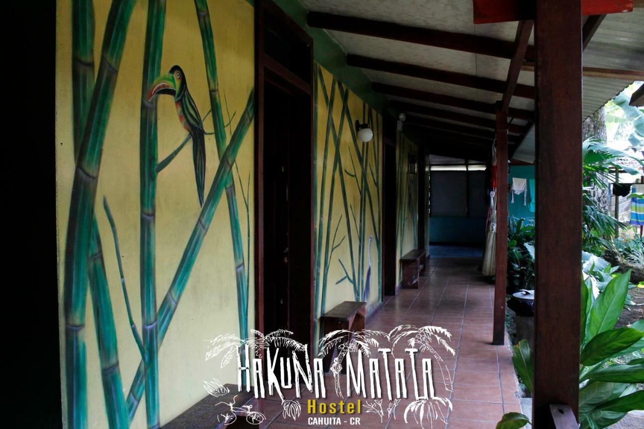Hakuna Matata Hostel Кауита Экстерьер фото